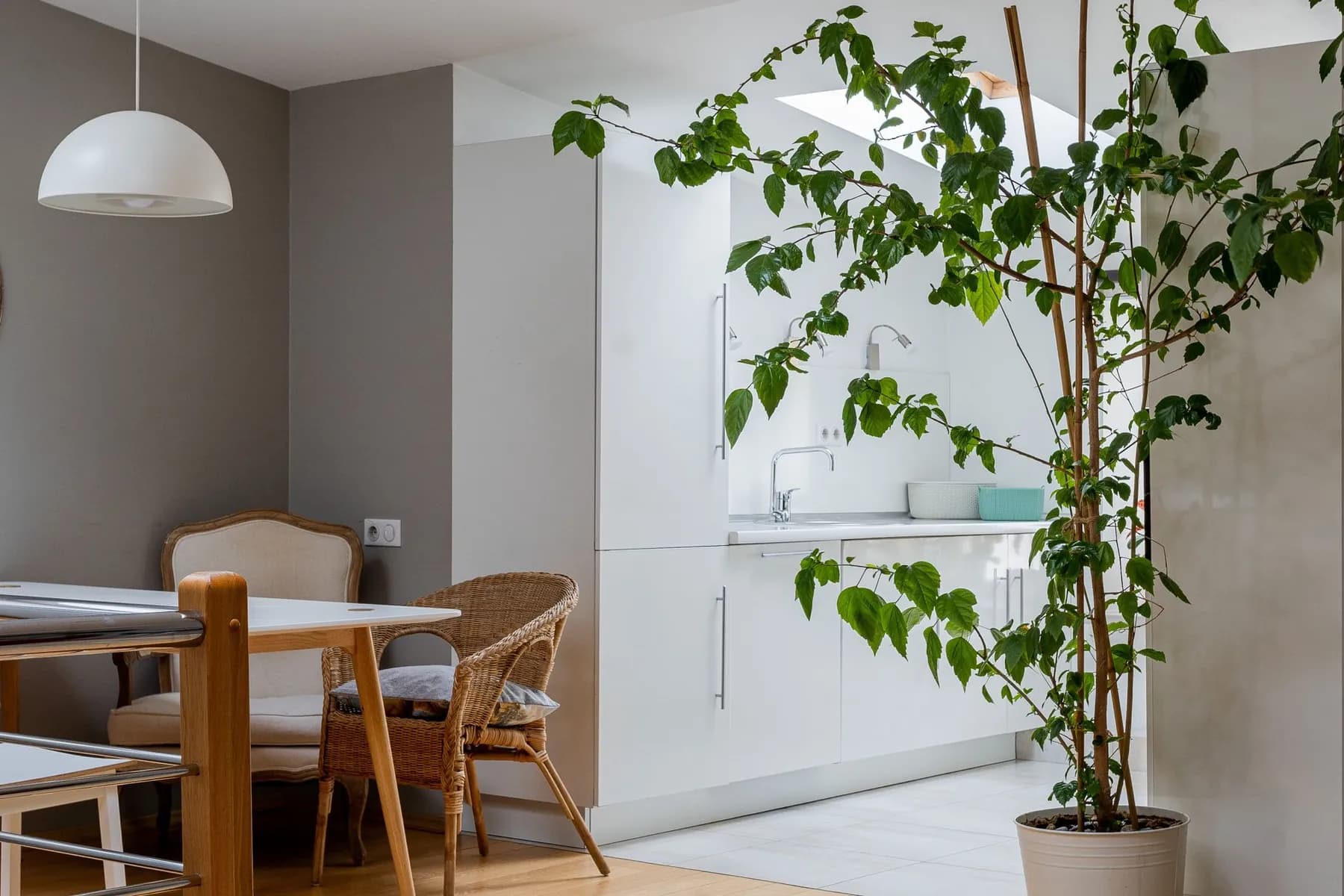 Linea Gignod